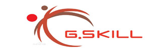 合作伙伴九_G.Skill（芝奇）